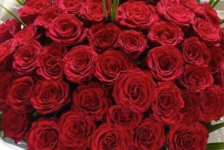 Big Love  50 rote Rosen als Strauß gebunden