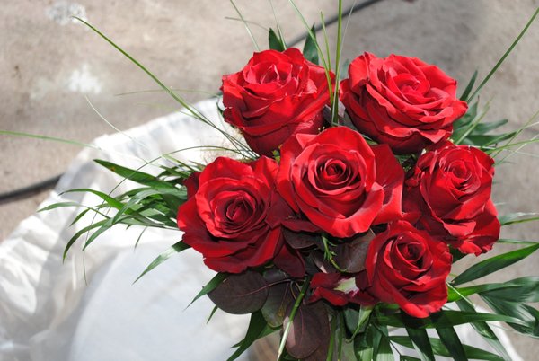 Big Love  50 rote Rosen als Strauß gebunden